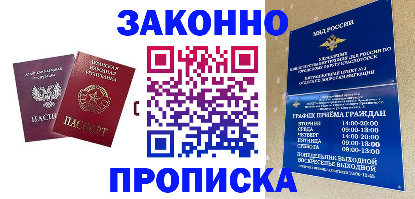 прописка в Сураже